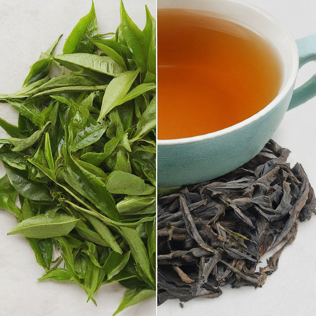 Green Tea vs. Black Tea: Decoding the World's Favourite Brews